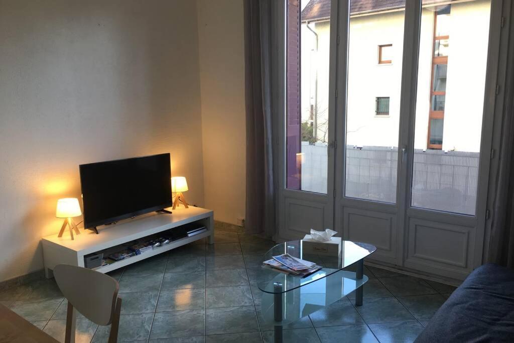 阿讷西Les Iles - Parking, Balcon, Netflix & Ps4!公寓 外观 照片