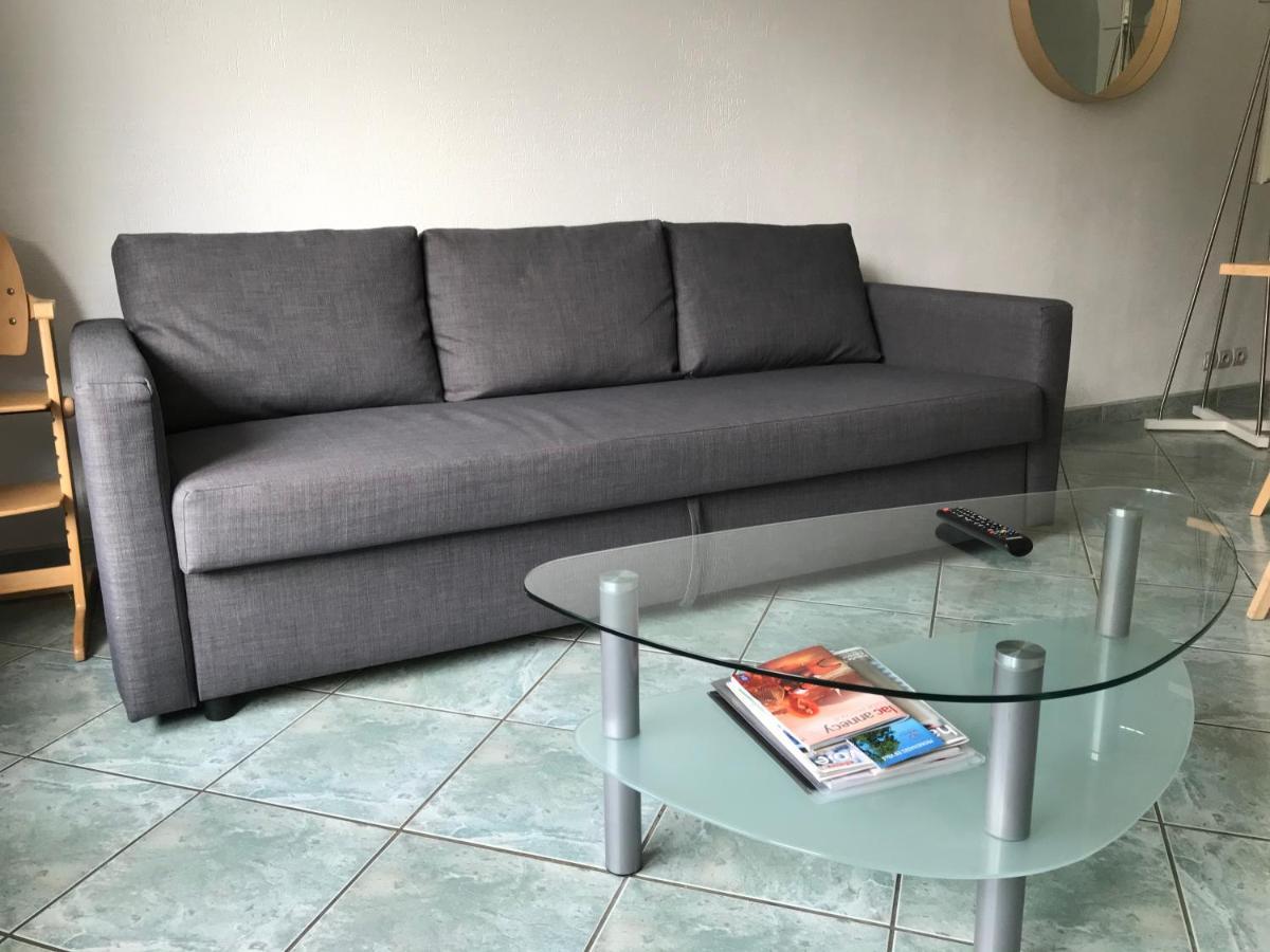 阿讷西Les Iles - Parking, Balcon, Netflix & Ps4!公寓 外观 照片